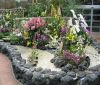 Изложба на редки орхидеи може да се види в Ботаническата градина на БАН