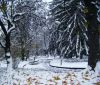 Десетки жертви на обилния снеговалеж в Европа