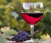 Намалява производството на вино у нас