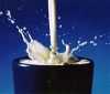Цената на млякото и млечните продукти в ЕС пада