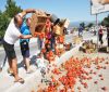 Земеделци изхвърлиха домати на главен път Е-79