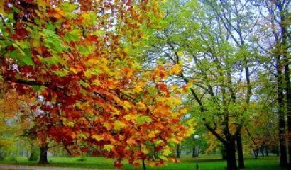 В търпението има скрита сила
отчаян порив на човека
да превъзмогне егото