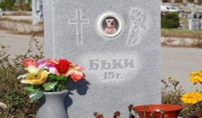 Определение и характеристики на загубата и скръбта
Безспорно всеки един от