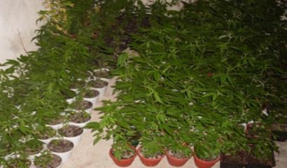 На 23 01 2018 г около 22 30 ч на автобусна спирка на