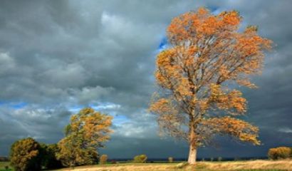 Сред неразбрани бродя като призрак
и търся сродната душа
а тя не