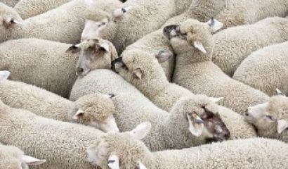 Докато премиерът Борисов се прегръща с фрау Меркел и егото