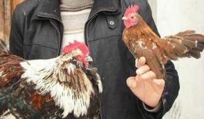 Хората се отсяват както зърното от плявата Години наред познаваш