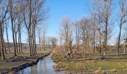 Борислав Сандов
След подаден сигнал до РИОСВ Шумен и намесата на Борислав