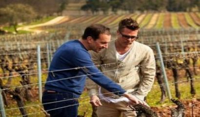 Оказа се че освен попечителството на шест деца бившата 8222 кралска 8220