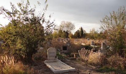 Варненката Снежана Абаджиева изрази в социалните мрежи възмущението си от