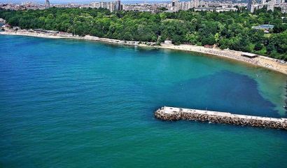 Уважаеми жители на община Долни чифлик Днес отбелязваме един специален ден