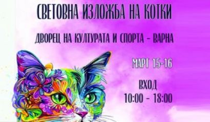Световна изложба на котки в България ще се
проведе по правилата
