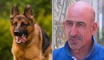 Кученце от породата йоркширски териер е било буквално разкъсано от