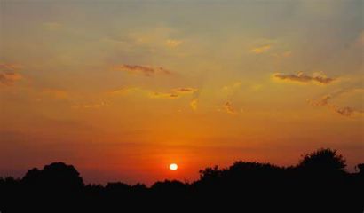 Цикадите бродират тишината с бодрата си песен пристъпвам в пеперудената