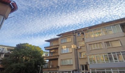 Ще ходя небръснат докато чайките спрат да летят И дори