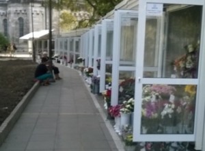 katedrala-zvetiar-pazar-jpg