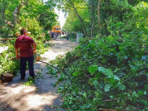 morska-gradina-varna