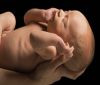 БАБХ: Няма токсични вещества в бебешките пюрета